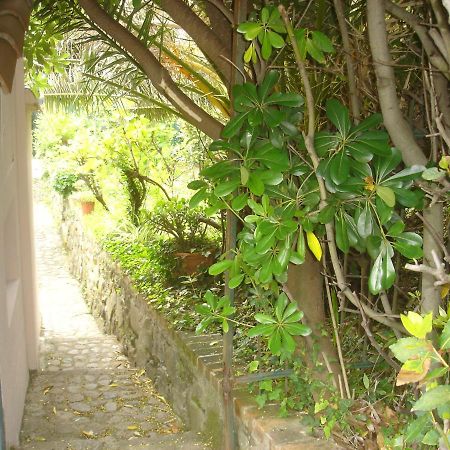 Sunflower Cosy Cottage - Il Girasole Monterosso al Mare Exterior foto