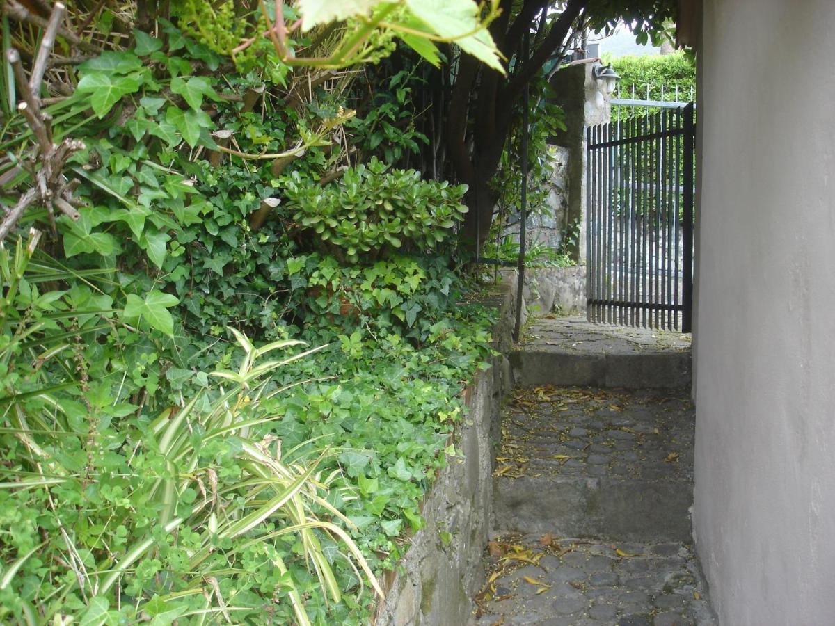 Sunflower Cosy Cottage - Il Girasole Monterosso al Mare Exterior foto
